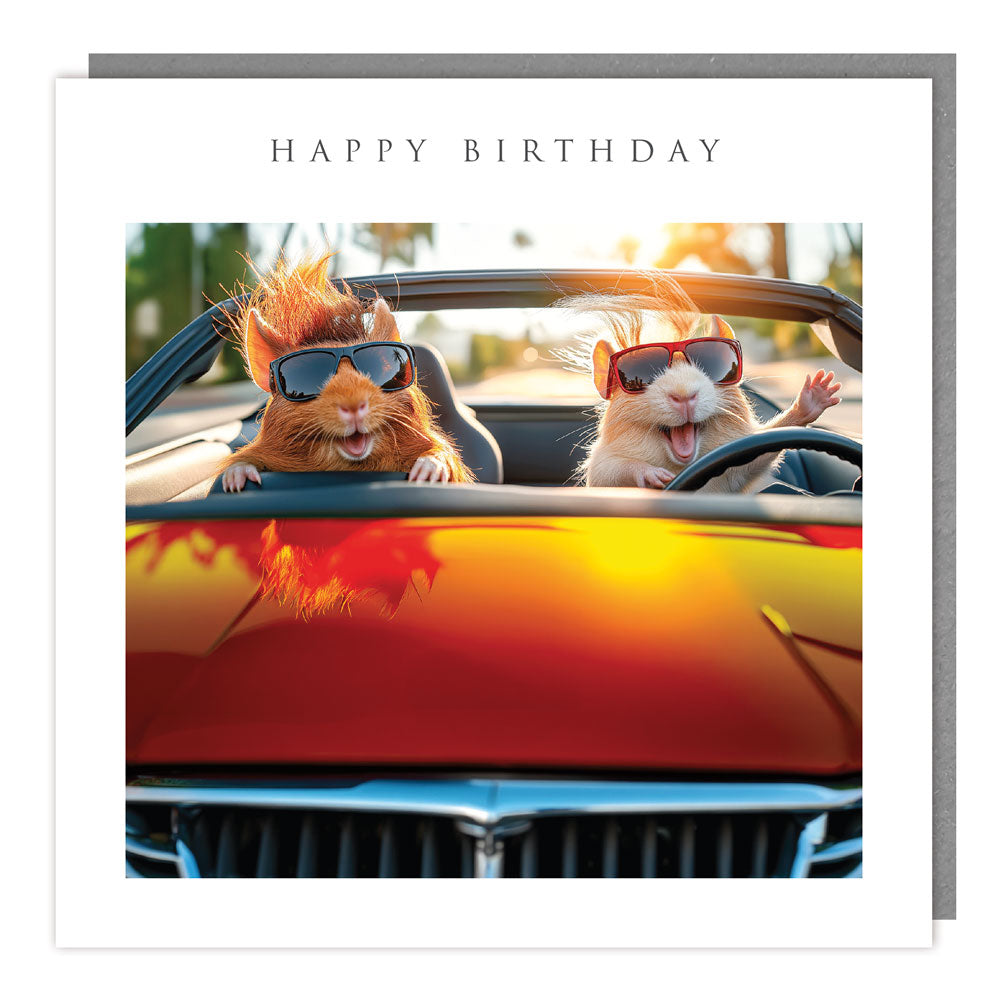 JJ75 - HB - Light Hearted - Happy Birthday Guinea Pigs Drive