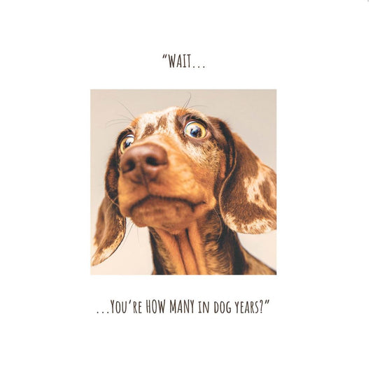 WAIT... You're how many dog years?