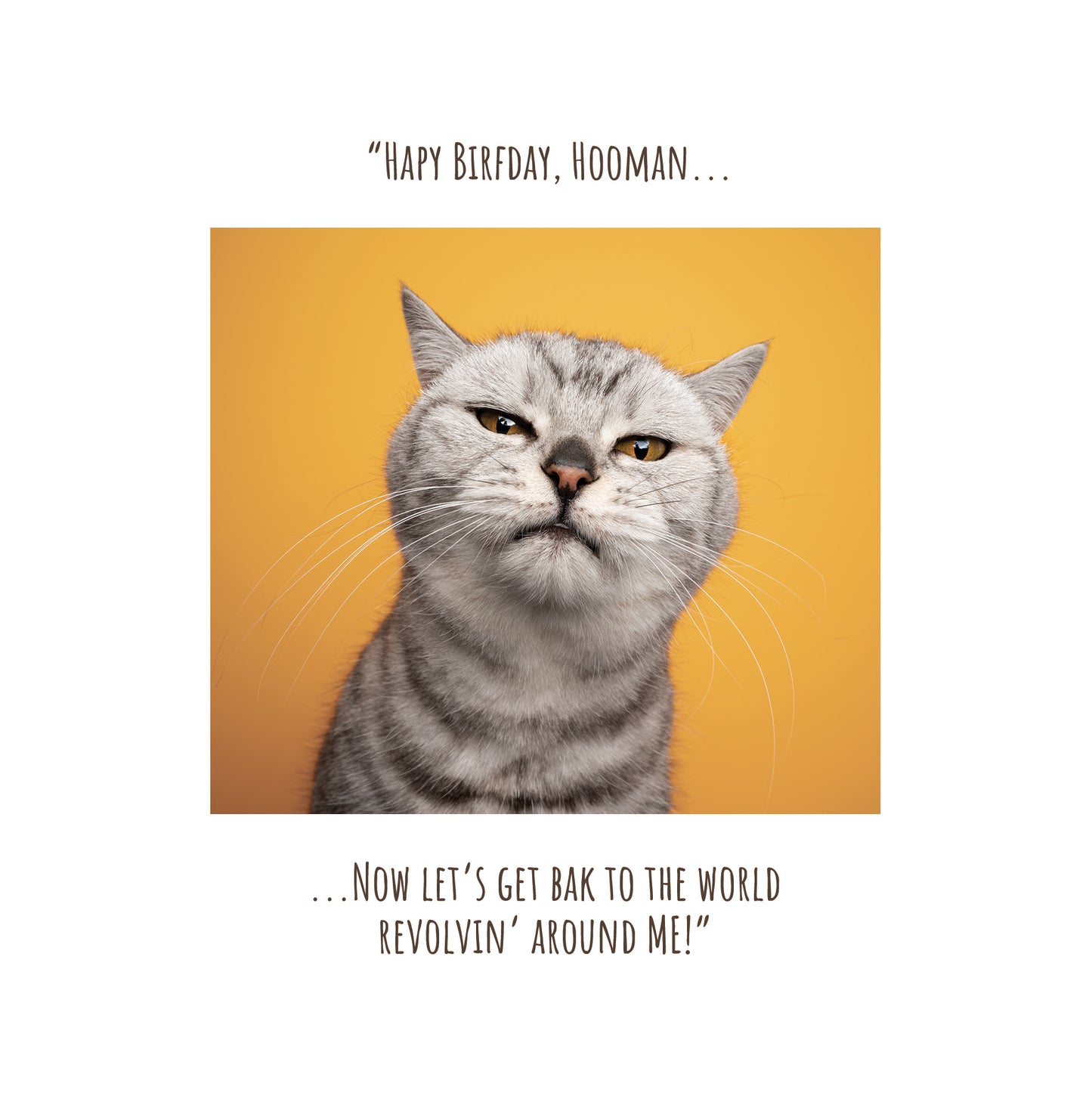 Open Humour - General