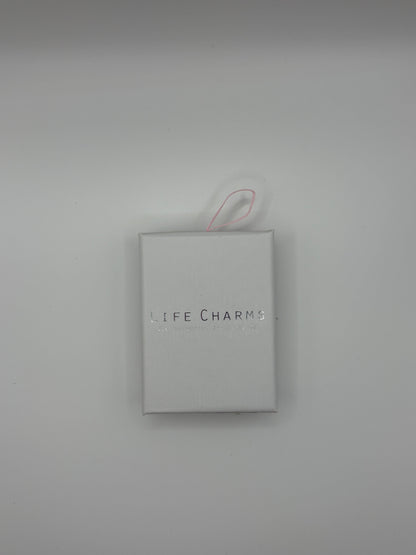 #BeCharming Plane charm