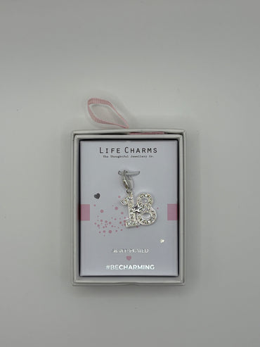 #BeCharming Number 18 charm