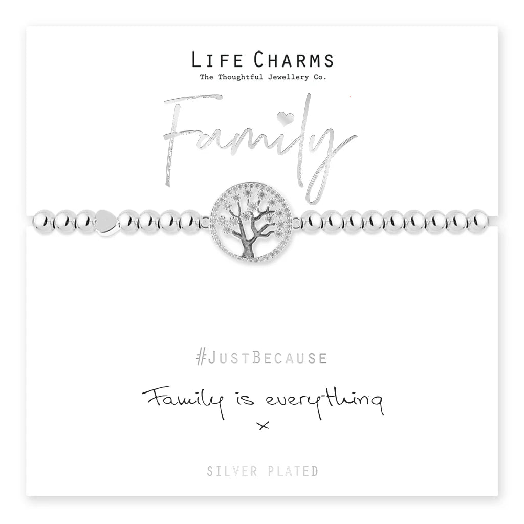 FAMILY IS EVERYTHING BRACELET