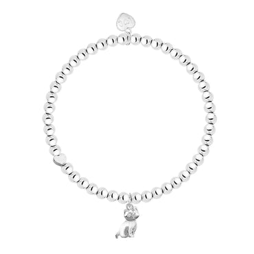 BETTER WITH A CAT BRACELET