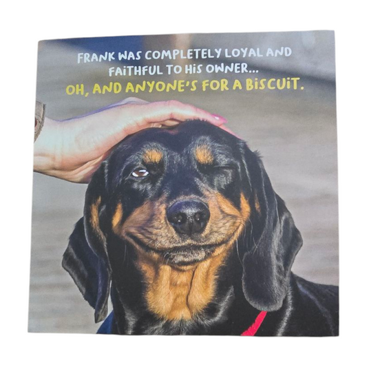 Frank was completeley loyal and faithful to his owner... oh, and anyone's for a buscuit