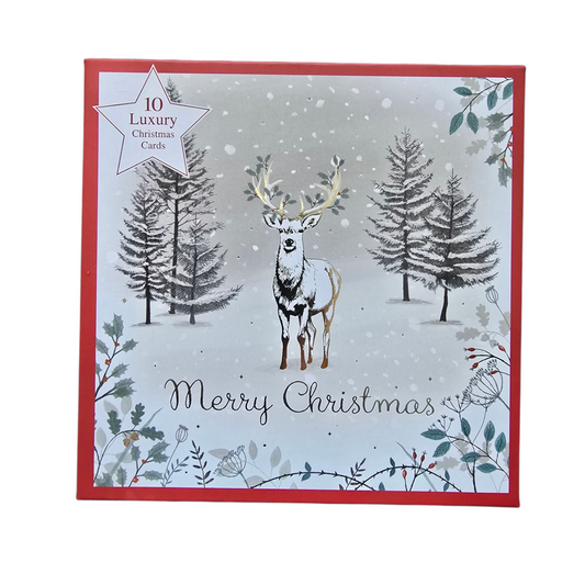 10 pack Christmas Boxed Cards Open Generic