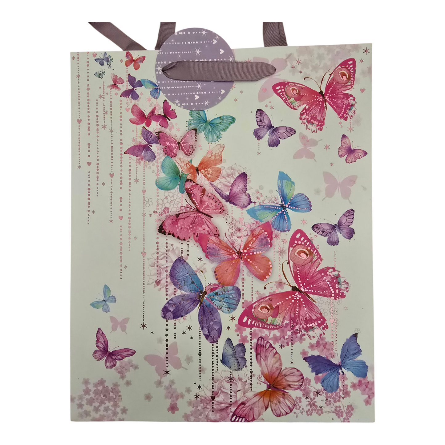 Large Gift Bag