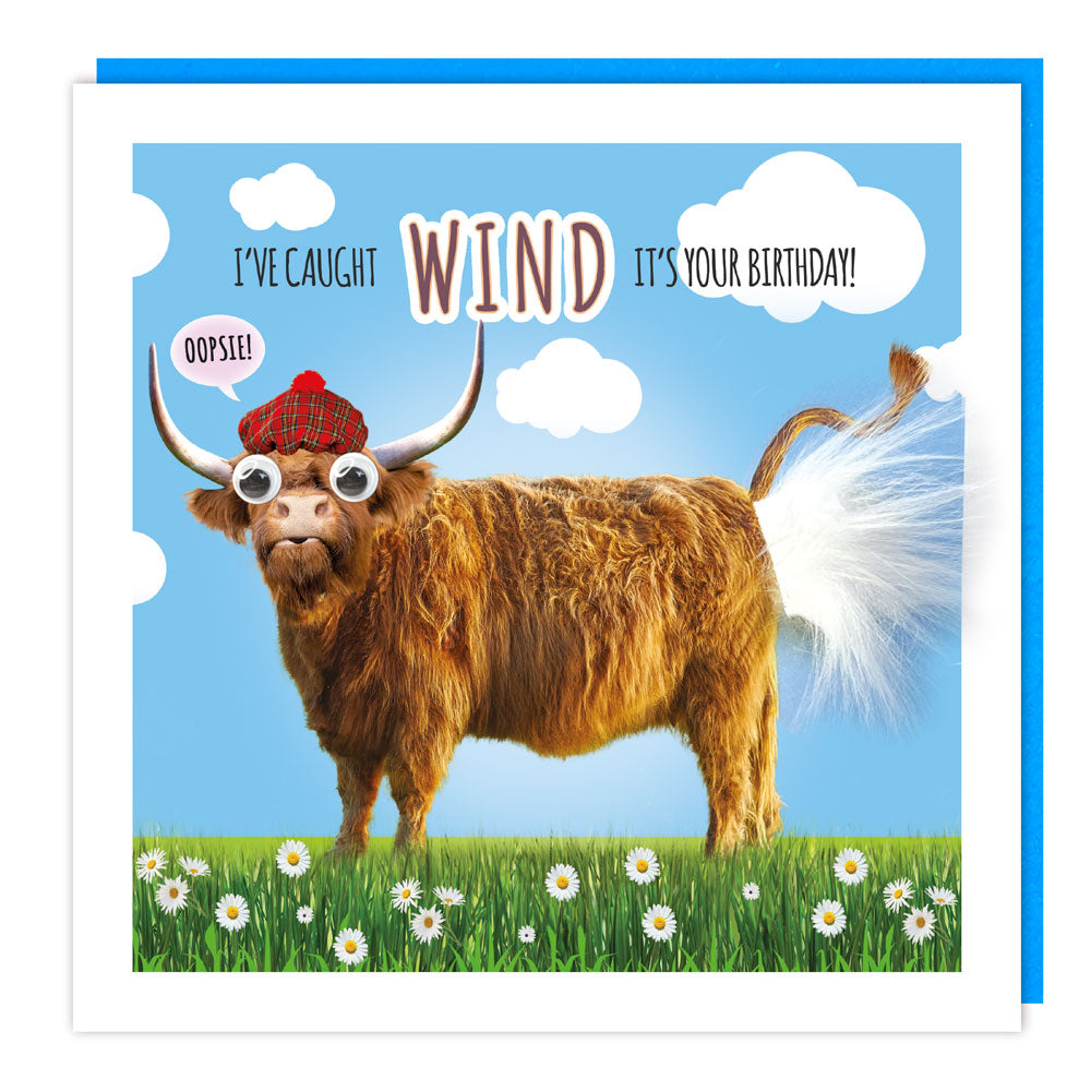 SeriesL Fluff - Scottish - Bday - Caught Wind - Highland Cow
