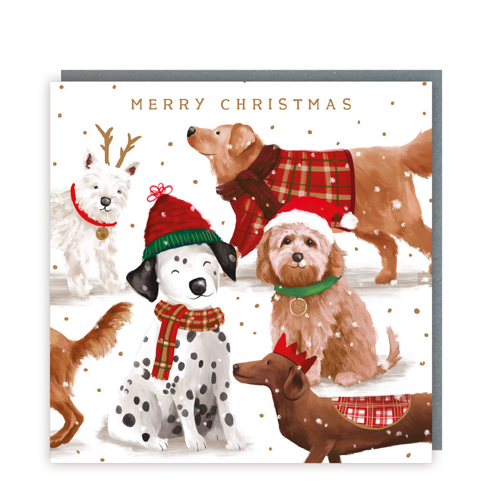 Xmas Sparkle Pack 125x125 - Xmas Hounds - Foil - RT