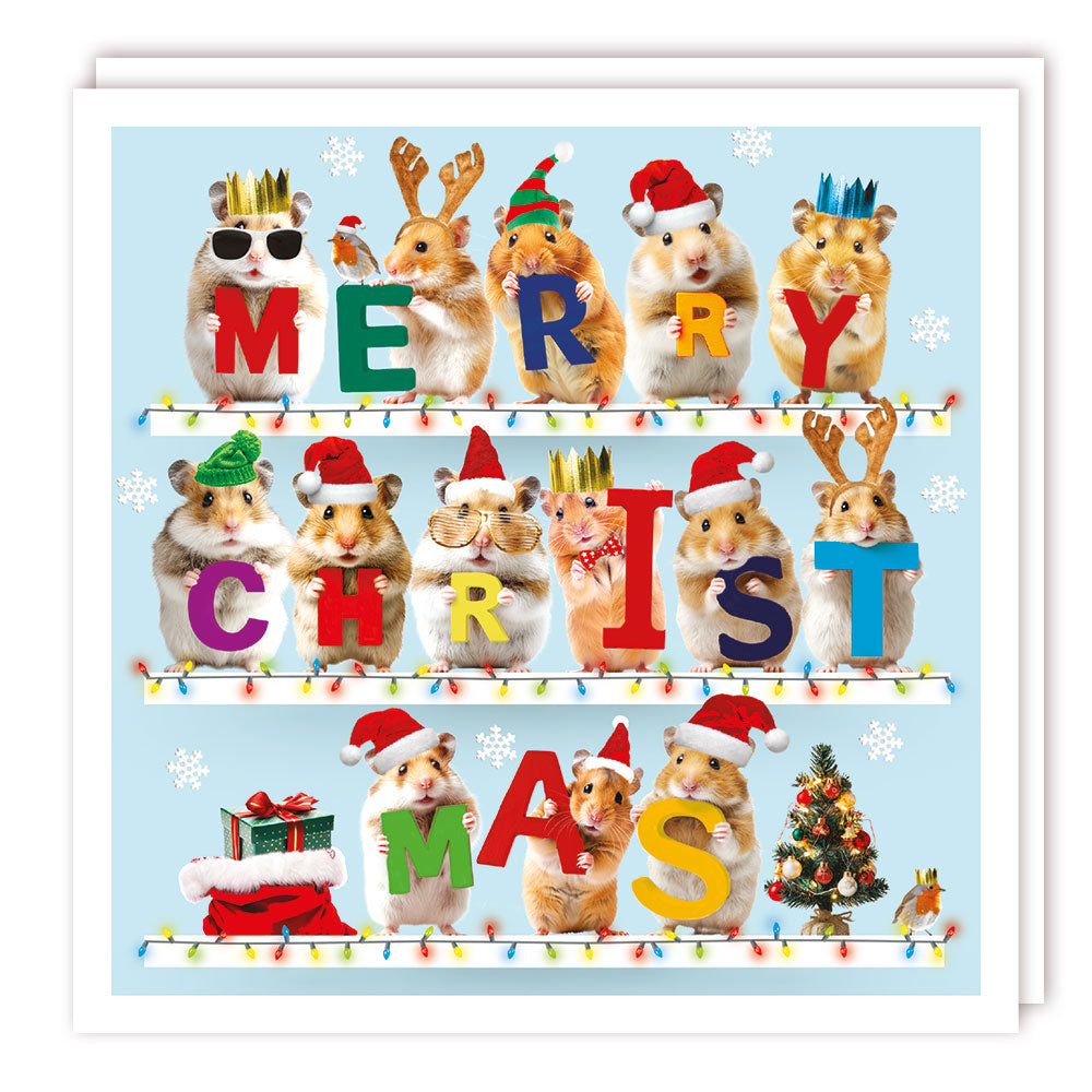 Xmas Sparkle Pack 125x125 - Christmas Hamsters - Foil - RT