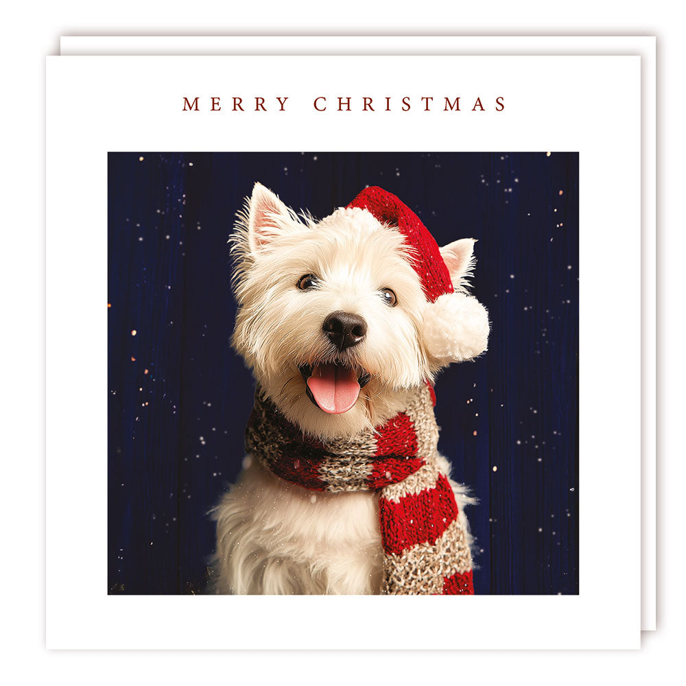 Xmas Sparkle Pack 125x125 - Westie Hat - Foil - MC
