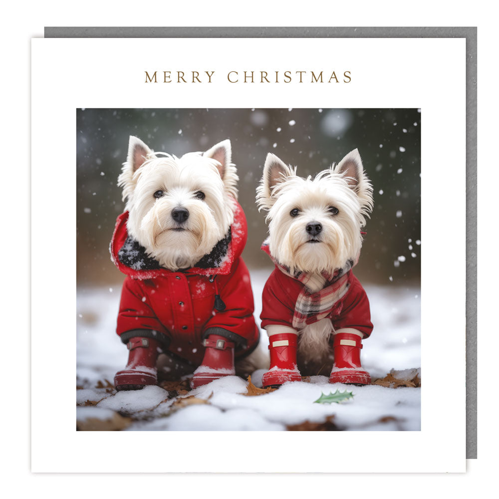 Pack of 5 - Dressed Westies - 140x140 - Foil - MC