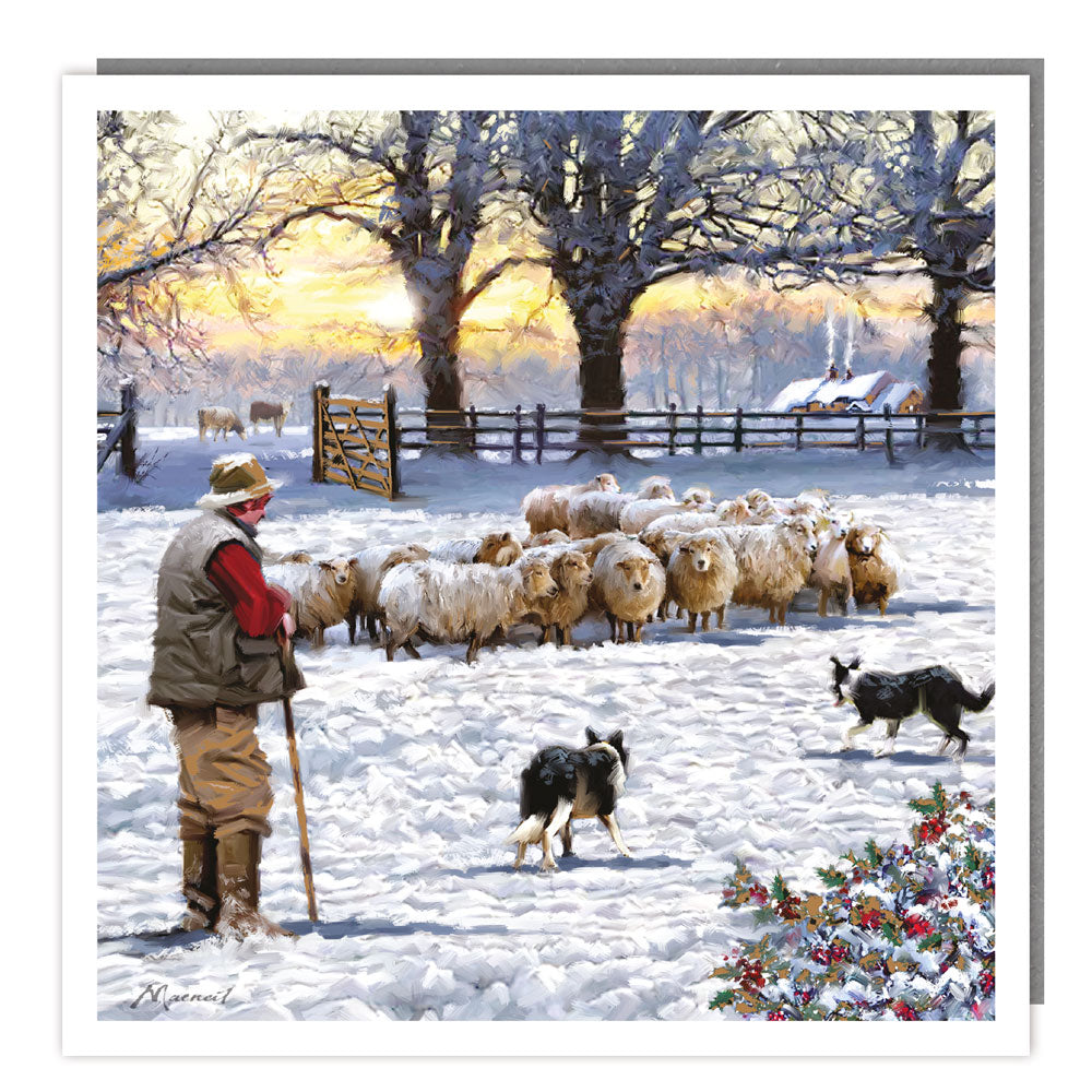 Pack of 5 - Herding the Sheep - 140x140 - Foil - RT