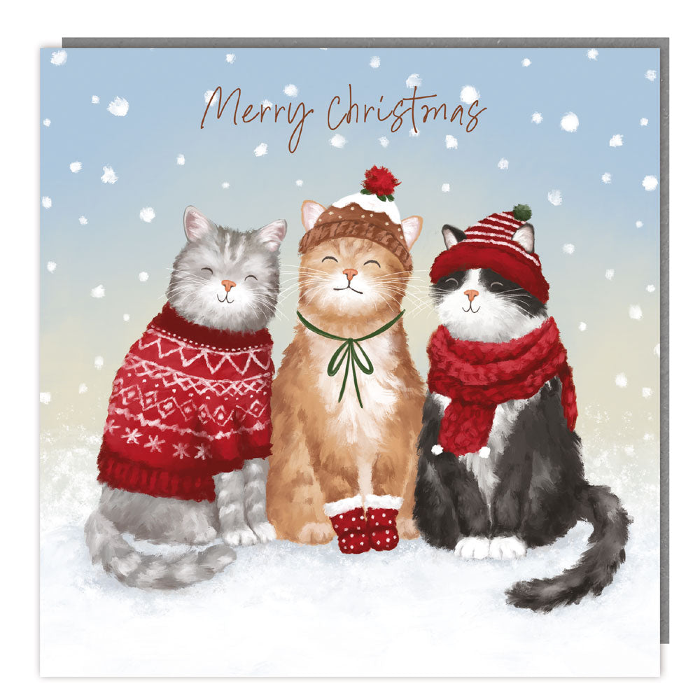 Pack of 5 - Carolling Cats - 140x140 - Foil - RT