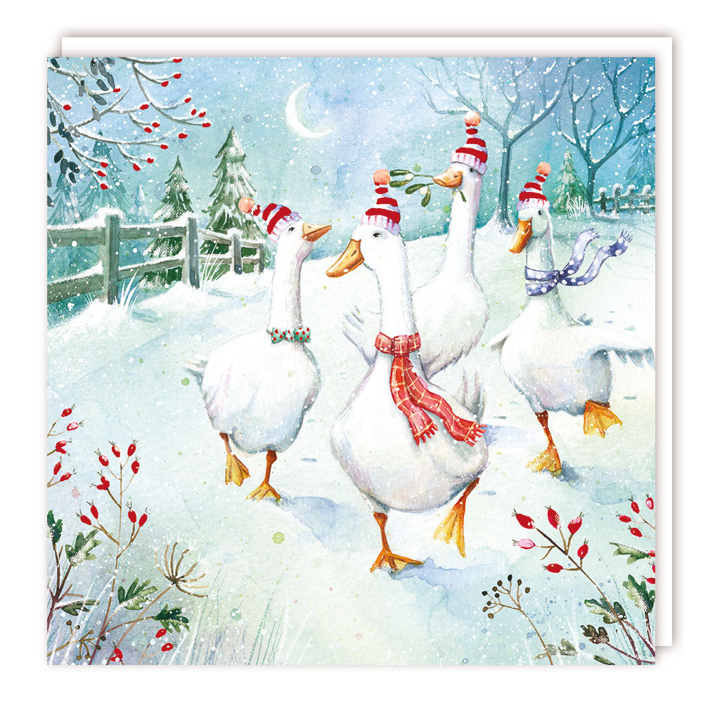 Pack of 5 - Geese in Hats - 140x140 - Foil - RT
