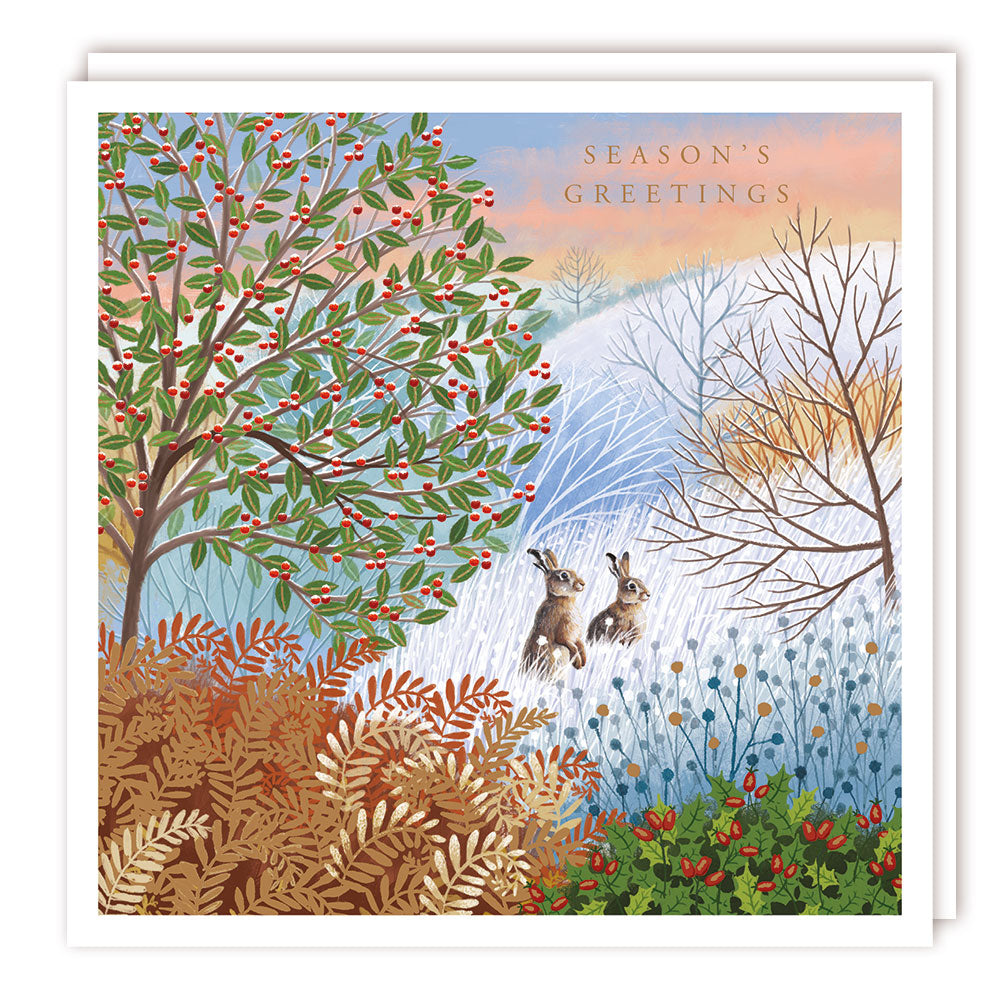 Pack of 5 - Hares in a field - 140x140 - Foil - BHF