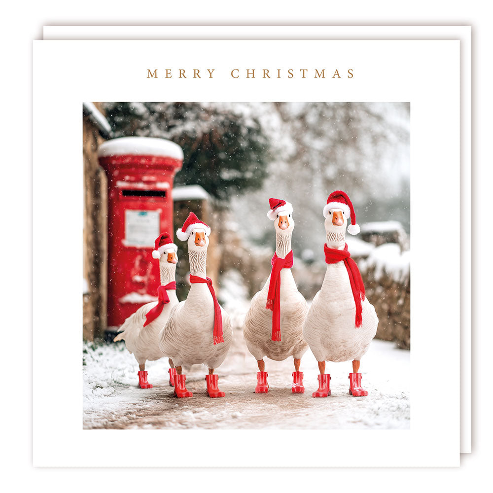 Pack of 5 - Geese in Hats & Postbox - 140x140 - Foil - RT