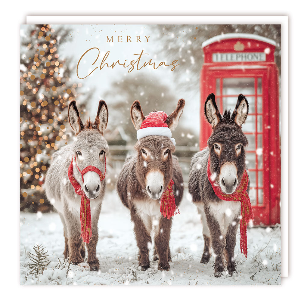 Pack of 5 - 3 Christmas Donkeys - 140x140 - Foil - BHF