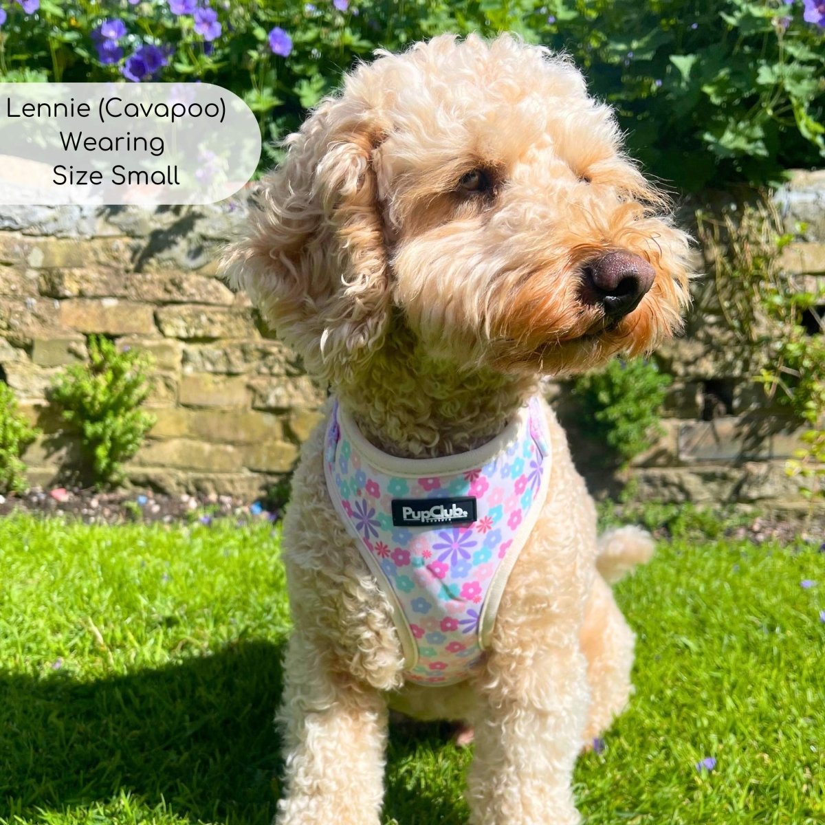 Adjustable Harness - Pretty Petals