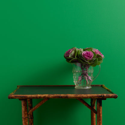 Emerald Isle Wall Paint