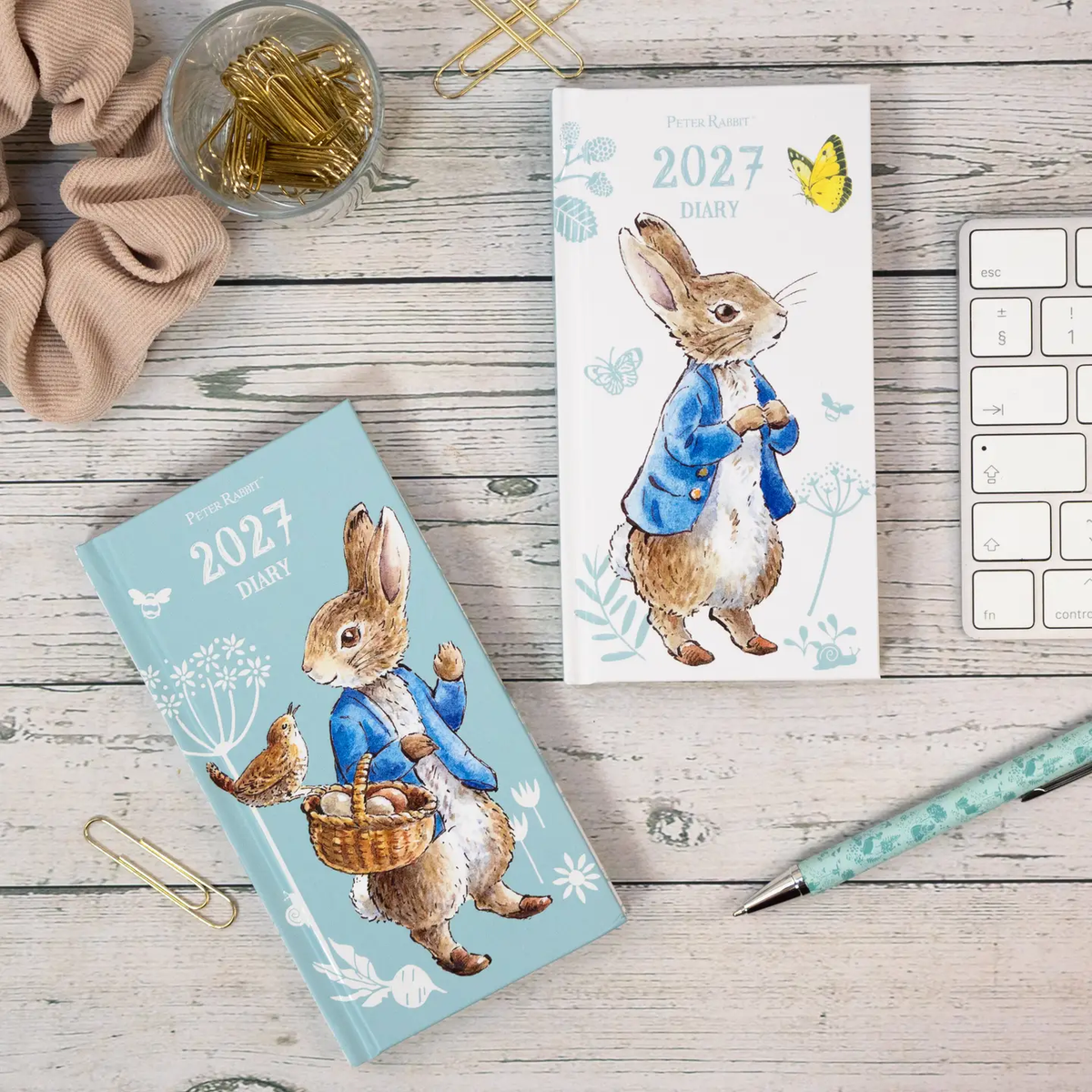 Peter Rabbit Slim Diary