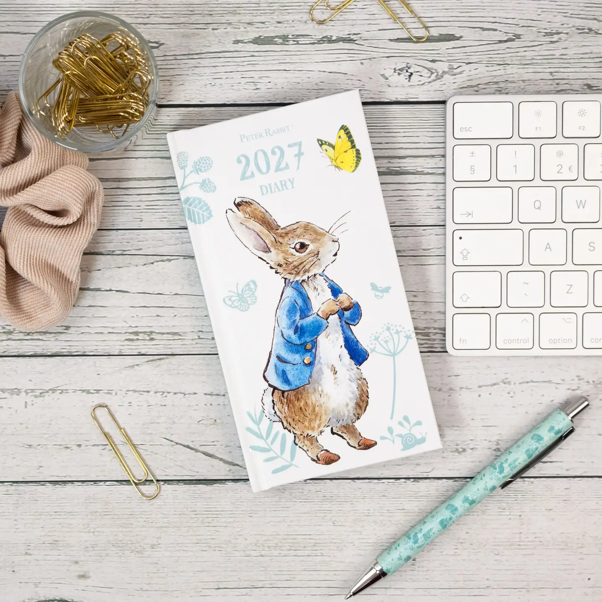 Peter Rabbit Slim Diary